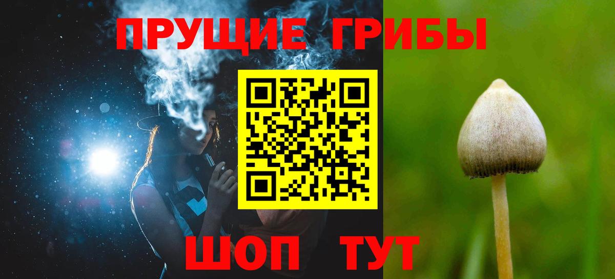 Кизилюрт  как найти   Вход с VPN  Галлюциногенные грибы Magic Shrooms  Галлюциногенные грибы MAGIC MUSHROOMS 